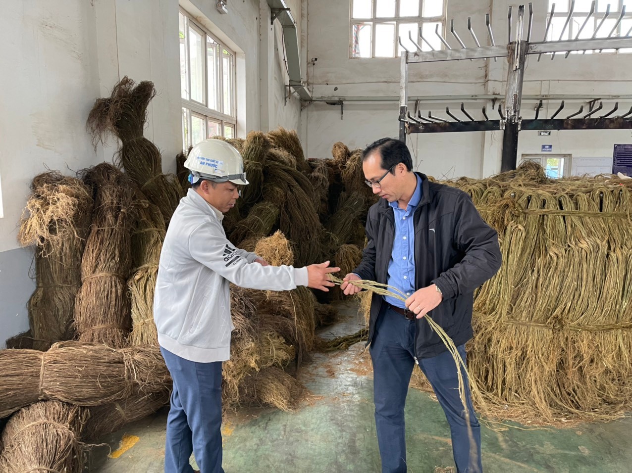 Cải tiến máy tuốt cây gai xanh nâng cao chất lượng sợi phục vụ ngành dệt may tại Việt Nam
